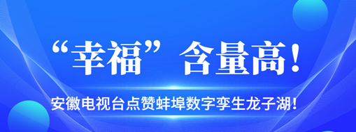 ?“幸?！焙扛?，安徽電視臺(tái)點(diǎn)贊蚌埠數(shù)字孿生龍子湖！